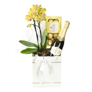 Imagem de Box Sublime Combinação