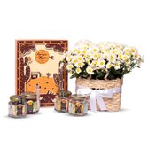 Kit Amigos do Bem e Mini Margaridinhas Plantadas