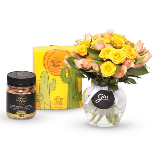 Kit Amigos do Bem e Brisa de Rosas Coloridas