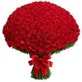 1000 Rosas Vermelhas