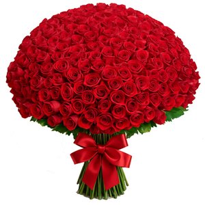 Imagem de 1000 Rosas Vermelhas