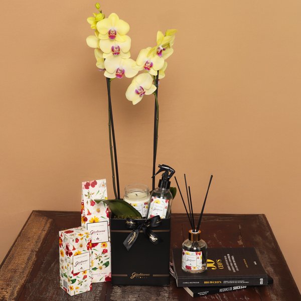 Orquídea Amarela e Linha Aromática Giuliana Flores