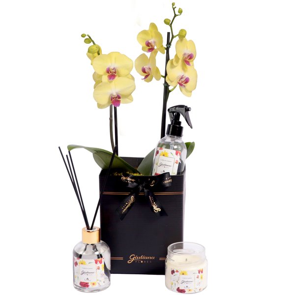 Orquídea Amarela e Linha Aromática Giuliana Flores