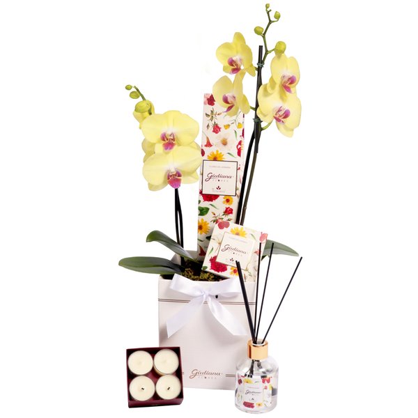 Orquídea Amarela no Box Branco e Linha Aromática Giuliana Flores