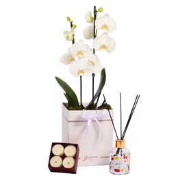 Imagem de Difusor e Mini Velas Encontro Floral Giuliana Flores e Orquídea Branca