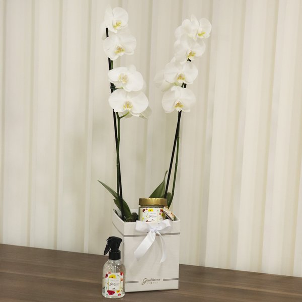 Orquídea Branca no Box Primor e Linha Aromática Giuliana Flores
