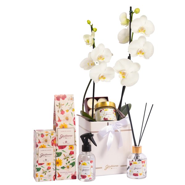 Orquídea Branca no Box Premium e Linha Aromática Giuliana Flores