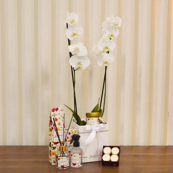 Orquídea Branca no Box Premium e Linha Aromática Giuliana Flores