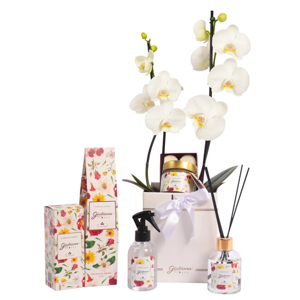Orquídea Branca no Box Premium e Linha Aromática Giuliana Flores