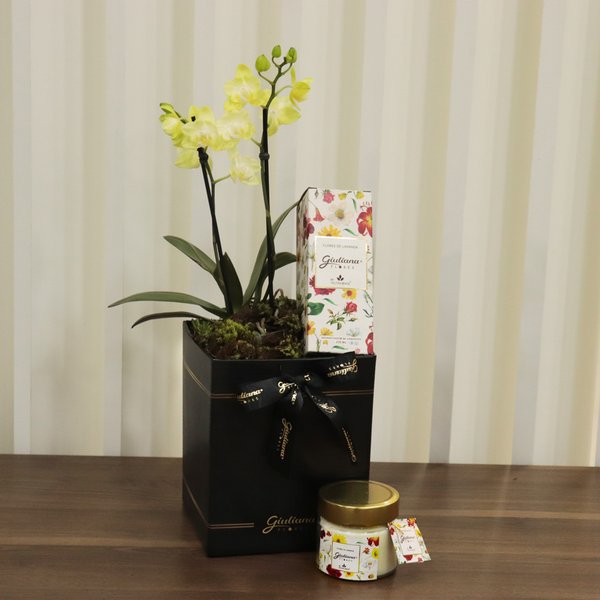 Mini Rara Amarela e Linha Aromática Giuliana Flores