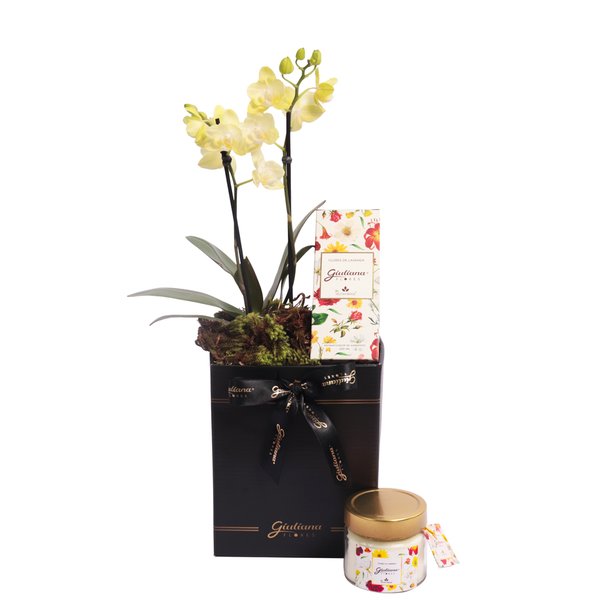 Mini Rara Amarela e Linha Aromática Giuliana Flores