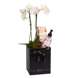 Imagem de Aromatizador Encontro Floral Giuliana Flores e Mini Rara Branca