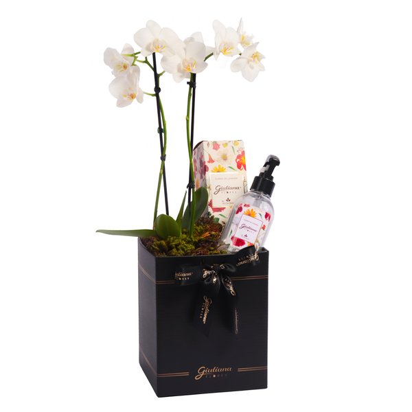 Mini Rara Branca e Linha Aromática Giuliana Flores
