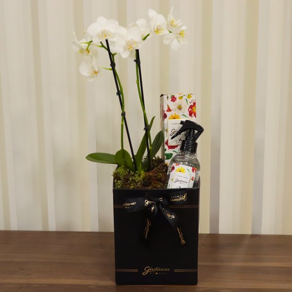 Mini Rara Branca e Linha Aromática Giuliana Flores