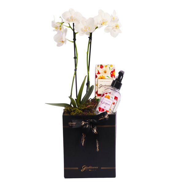 Mini Rara Branca e Linha Aromática Giuliana Flores