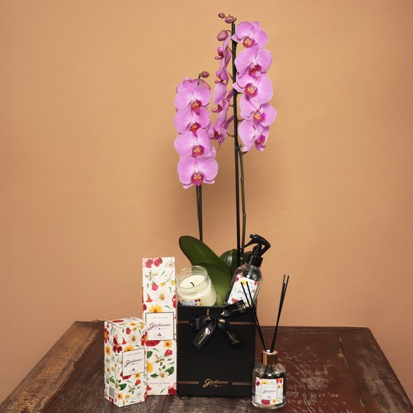 Orquídea Pink e Linha Aromática Giuliana Flores