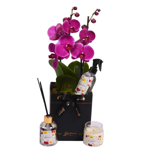 Orquídea Pink e Linha Aromática Giuliana Flores