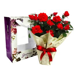 Imagem de Vaso de Mini Rosa Vermelha na Bag Floral