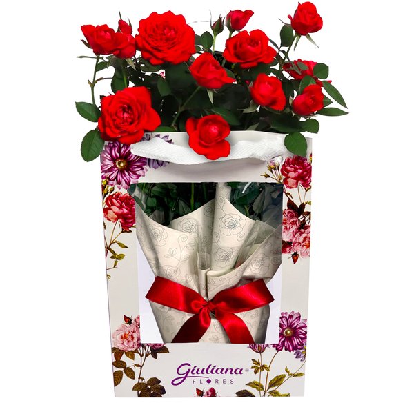 Vaso de Mini Rosa Vermelha na Bag Floral
