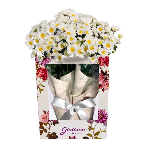 Mini Margaridinha Plantada na Bag Floral