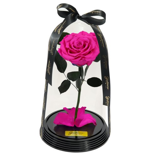Original Rosa Encantada Pink
