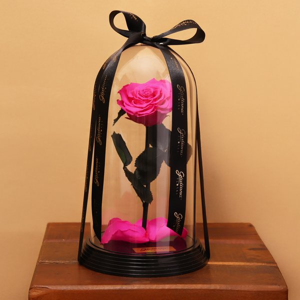 Original Rosa Encantada Pink