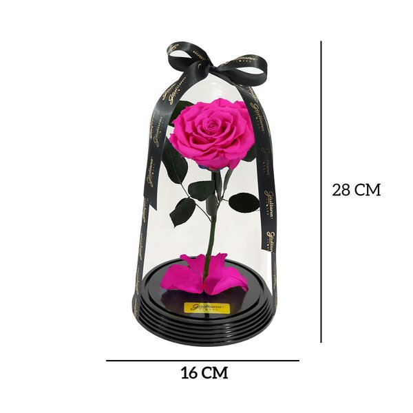 Original Rosa Encantada Pink