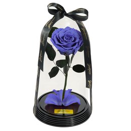 Imagem de Fabulosa Rosa Encantada Lilás