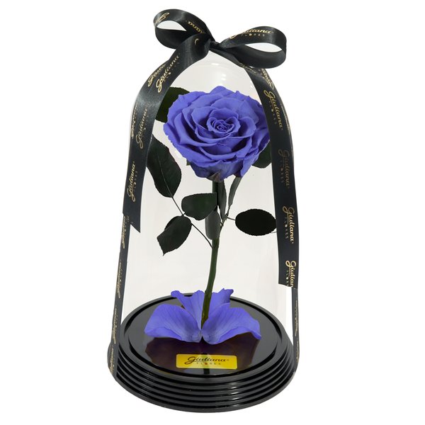 Original Rosa Encantada Lilás