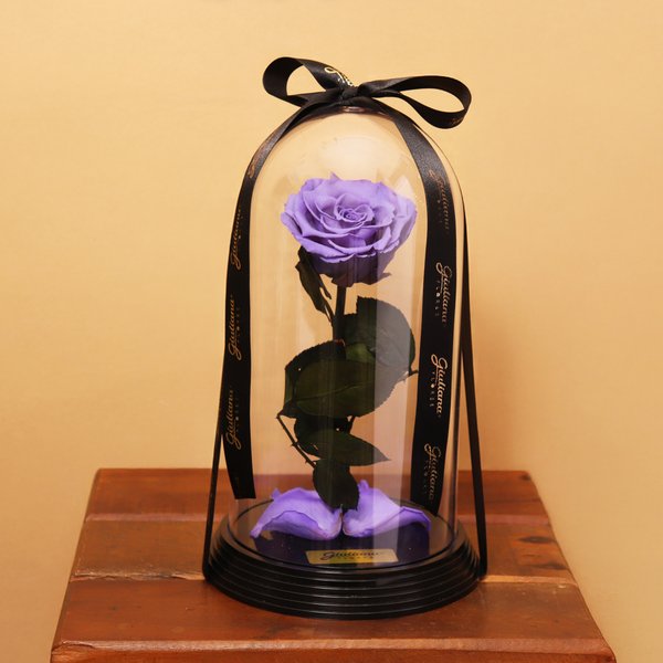 Original Rosa Encantada Lilás