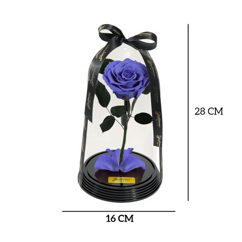 Original Rosa Encantada Lilás