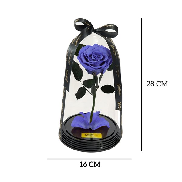 Original Rosa Encantada Lilás