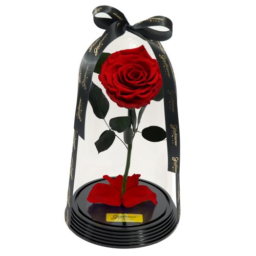 Original Rosa Encantada Vermelha