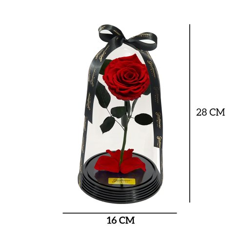 Original Rosa Encantada Vermelha