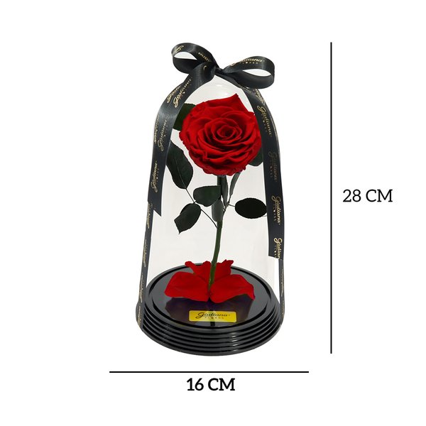 Original Rosa Encantada Vermelha