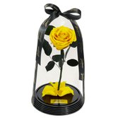 Fabulosa Rosa Encantada Amarela