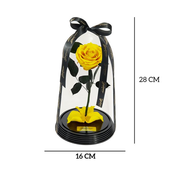Original Rosa Encantada Amarela