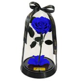 Fabulosa Rosa Encantada Azul