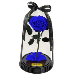 Imagem de Fabulosa Rosa Encantada Azul