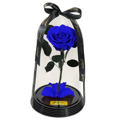 Original Rosa Encantada Azul