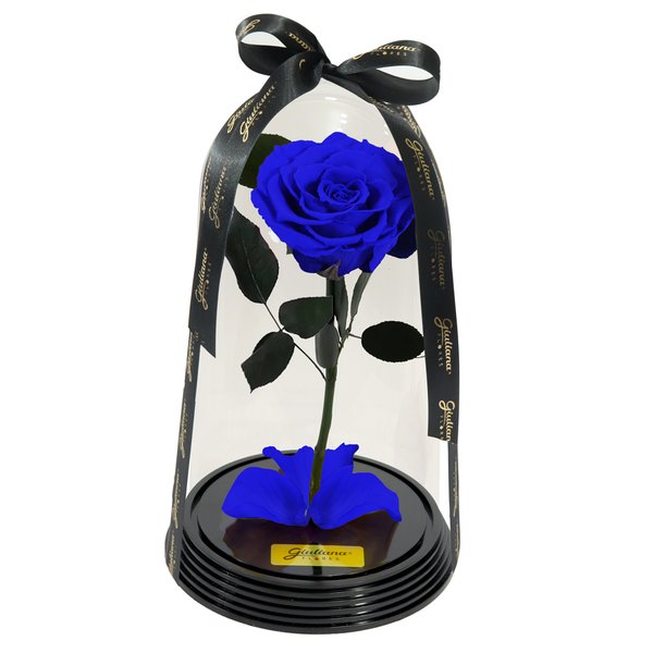 Original Rosa Encantada Azul
