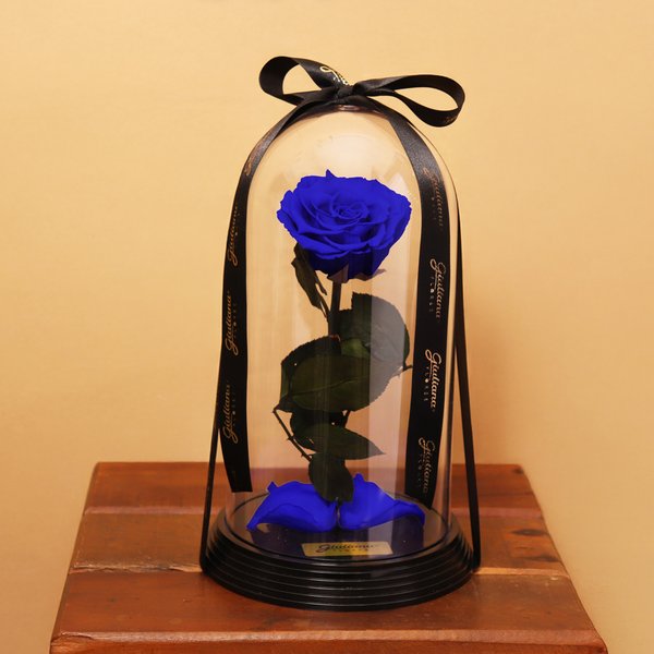Original Rosa Encantada Azul