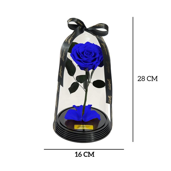 Original Rosa Encantada Azul
