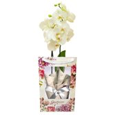 Orquídea Branca Presente na Bag Floral