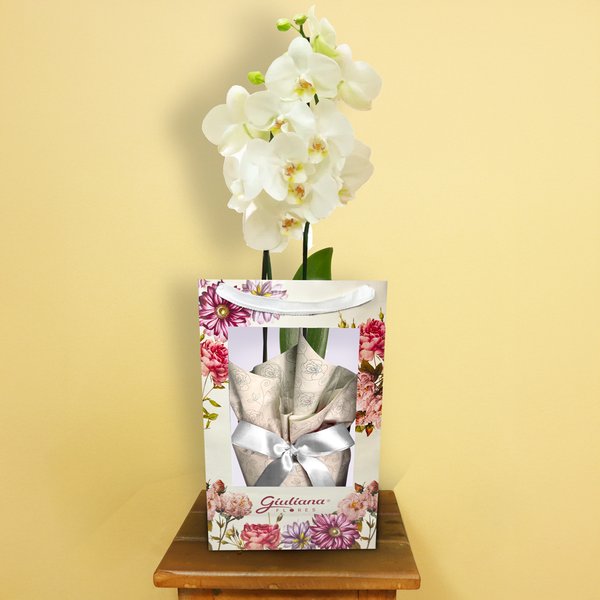 Orquídea Branca Presente na Bag Floral