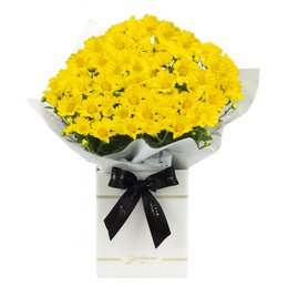 Imagem de Margaridinha Plantada Amarela no Box Primor