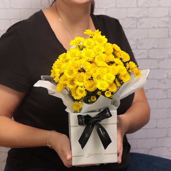 Margaridinha Plantada Amarela no Box Primor