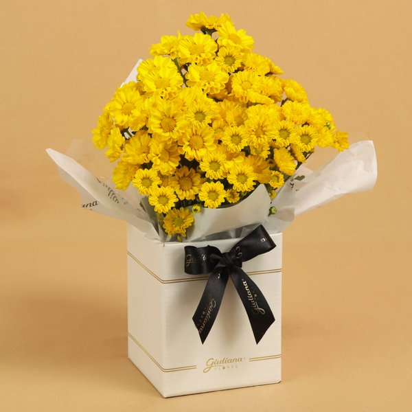 Margaridinha Plantada Amarela no Box Primor