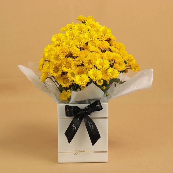 Margaridinha Plantada Amarela no Box Primor