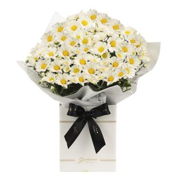 Imagem de Margaridinha Plantada Branca no Box Primor